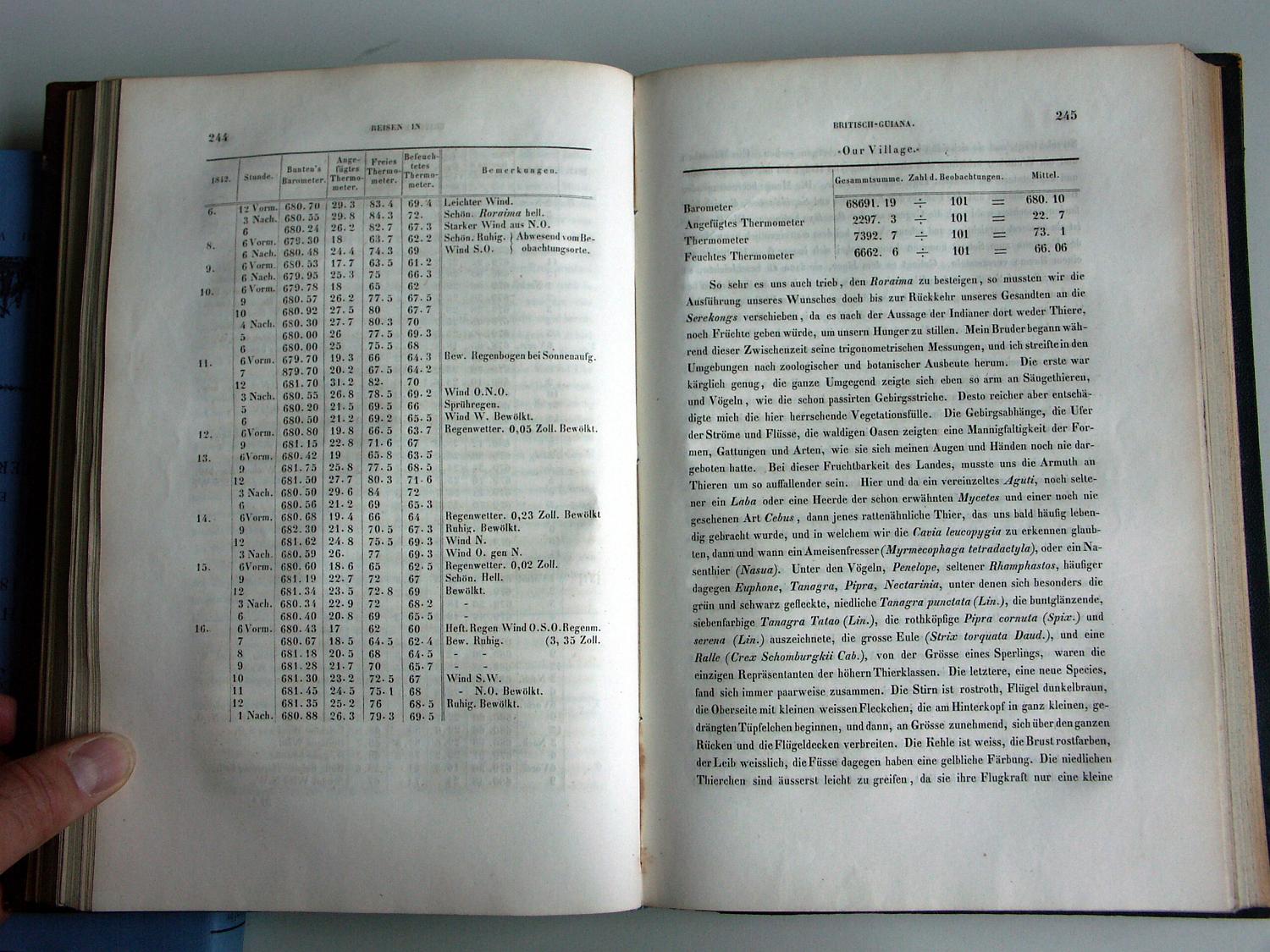 ZZ-RISC48,S.244 Diverse Vögel